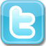 Twitter Icon